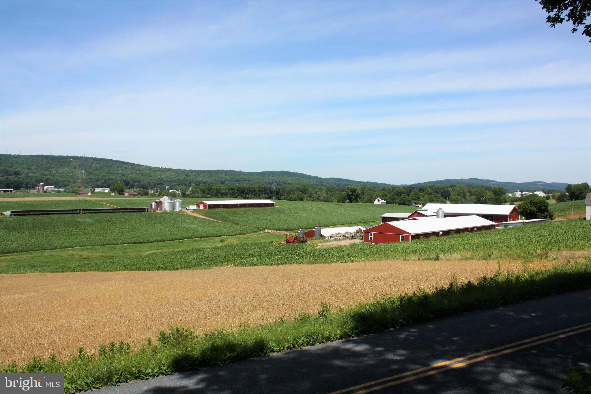 1518 Gish Road Manheim, PA 17545 - Photo 15 of 102 View From Front