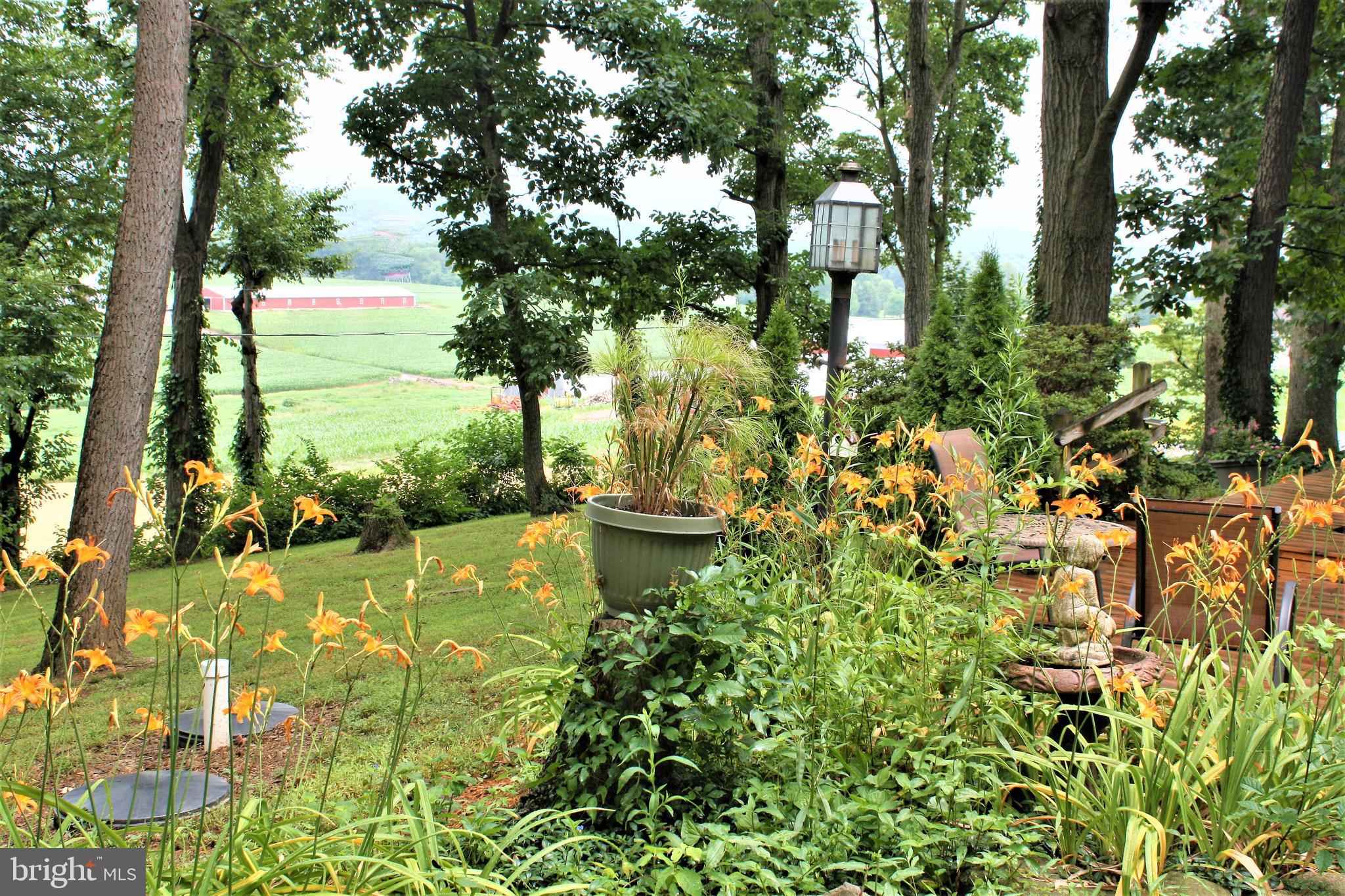 1518 Gish Road Manheim, PA 17545 - Photo 99 of 102