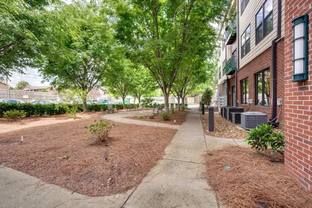 a view of a house with backyard and a tree