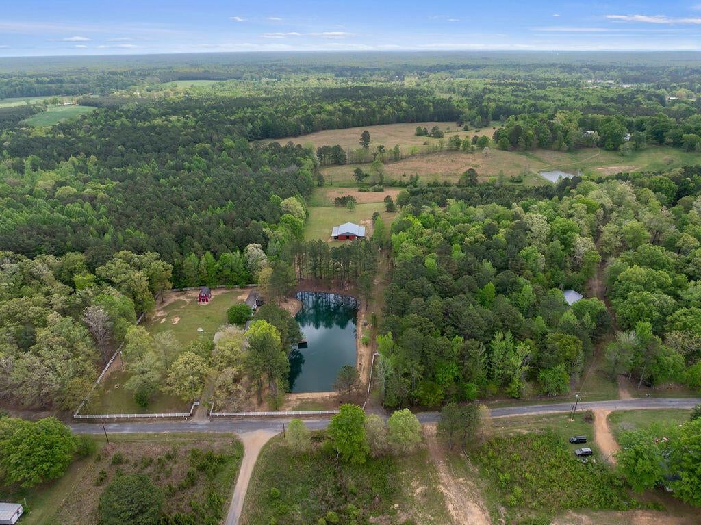 364 Ferguson Road Nauvoo, AL 35578 - Photo 26 of 29 DJI_20260413061408_0759_D-Edit