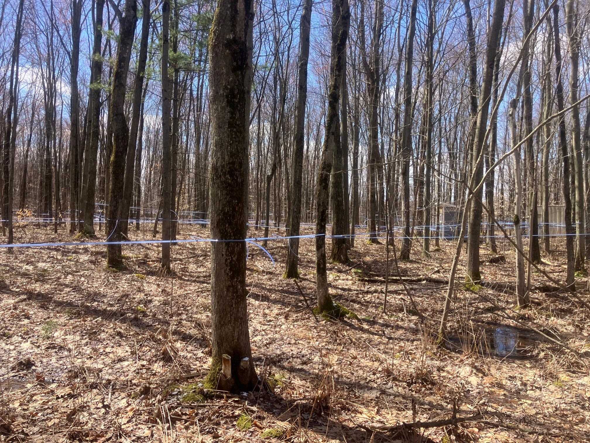 74 Jedware Circle, Unit LOT 101 Swanton, VT 05488 - Photo 8 of 17