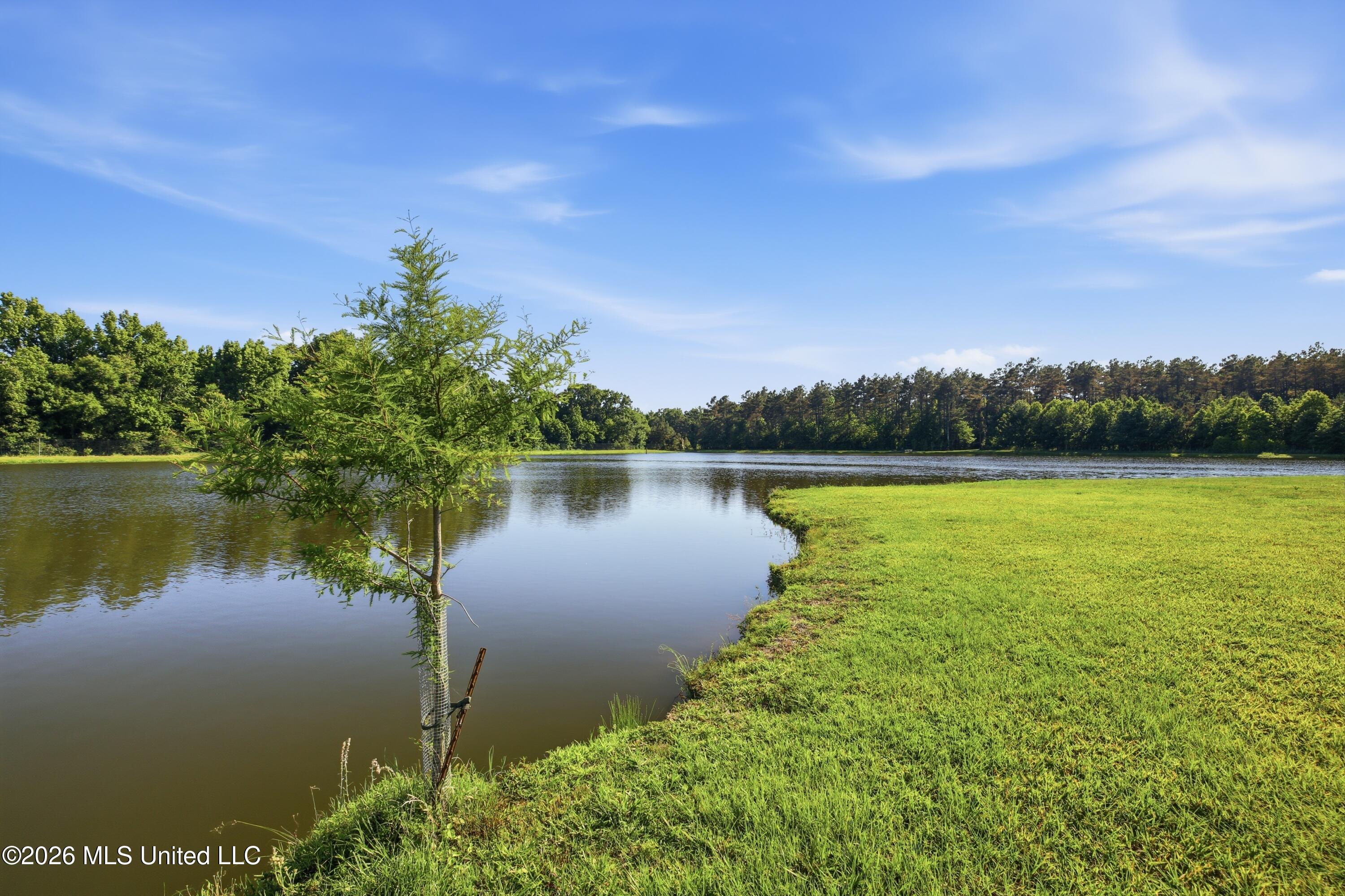425 Rose Hill Road Bentonia, MS 39040 - Photo 32 of 150 D749FBC5-E323-4A43-8CA5-B96C1C76E406