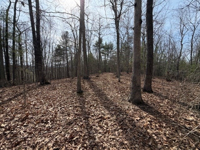 976 Walton Furnace Road, Unit 7A Max Meadows, VA 24360 - Photo 7 of 23 Gallery Image 7