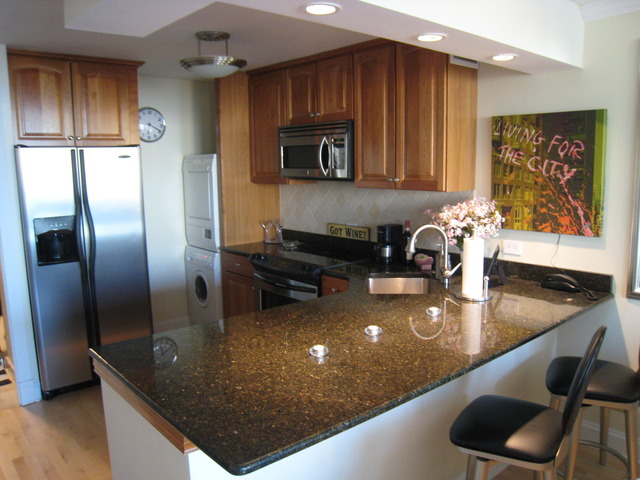 1030 North State Street, Unit 43G Chicago, IL 60610 - Photo 3 of 12