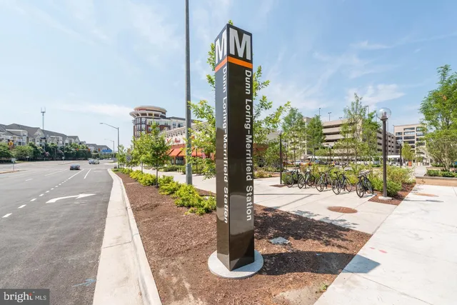 a street view with tall buildings