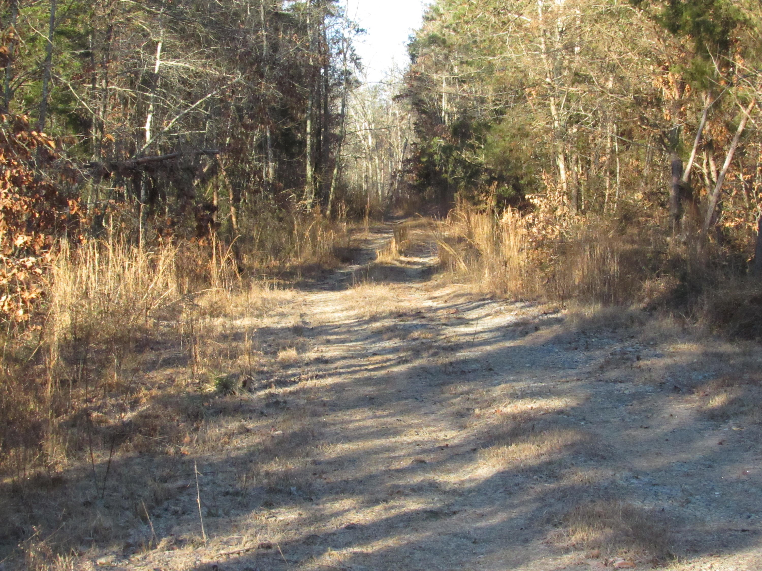 820 Sweetwater Road Philadelphia, TN 37846 - Photo 1 of 14 road in