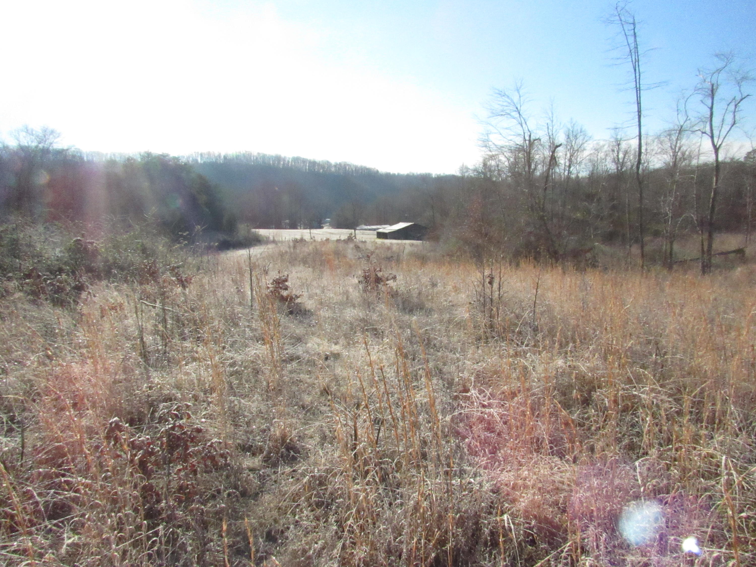 820 Sweetwater Road Philadelphia, TN 37846 - Photo 14 of 14 site view south