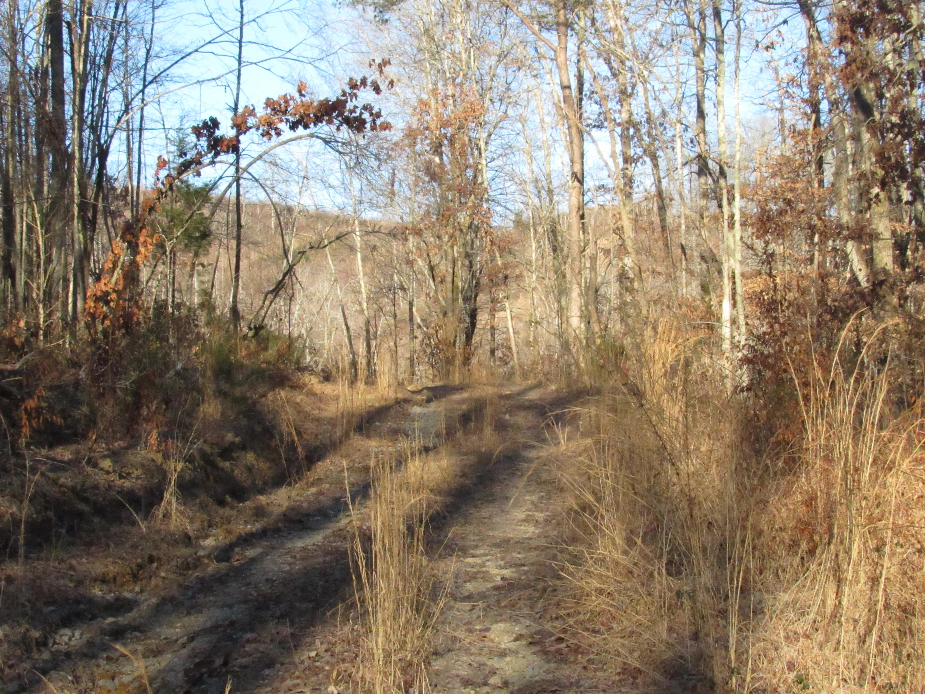 820 Sweetwater Road Philadelphia, TN 37846 - Photo 3 of 14 road 2