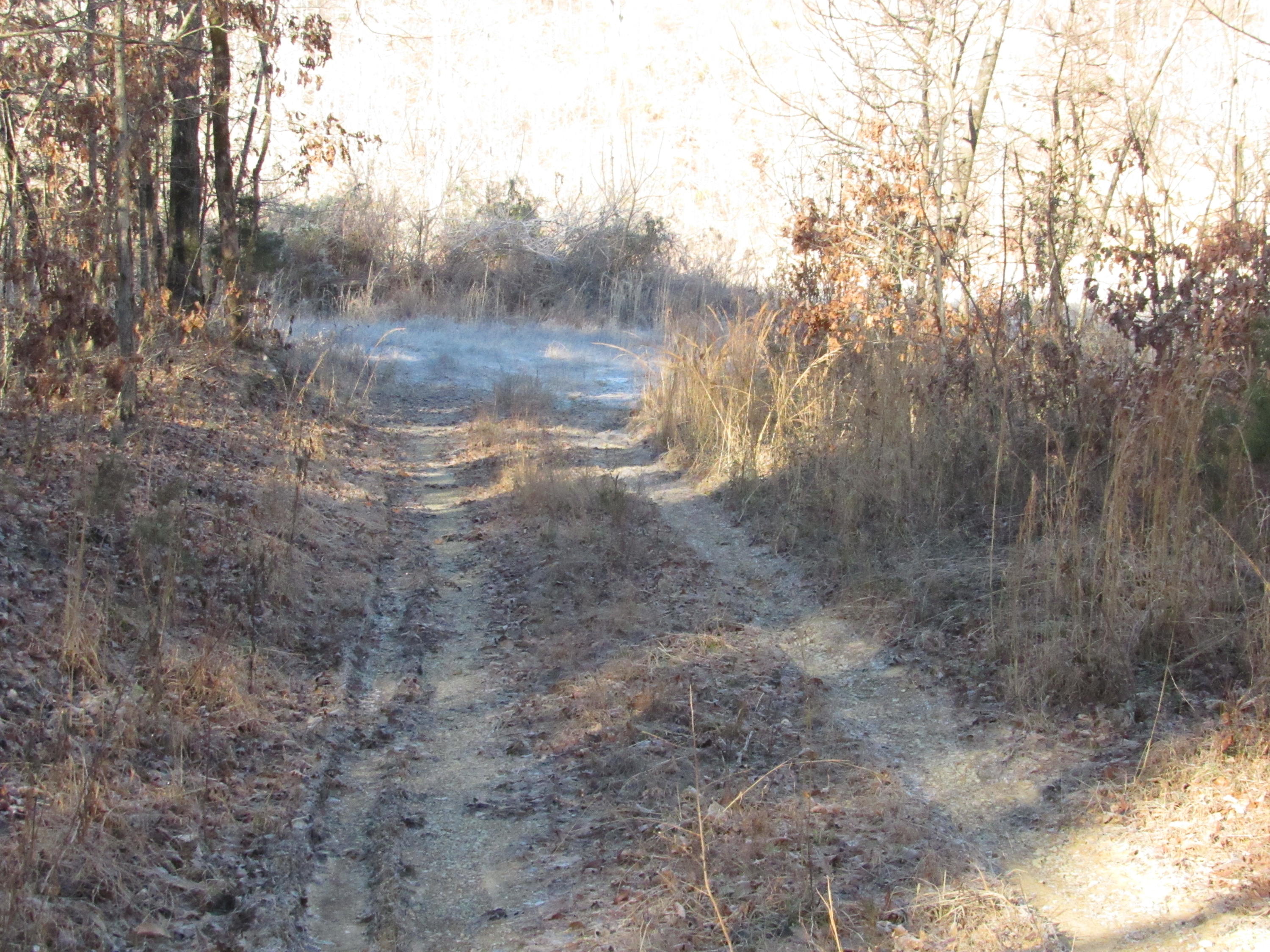 820 Sweetwater Road Philadelphia, TN 37846 - Photo 4 of 14 entrance to field