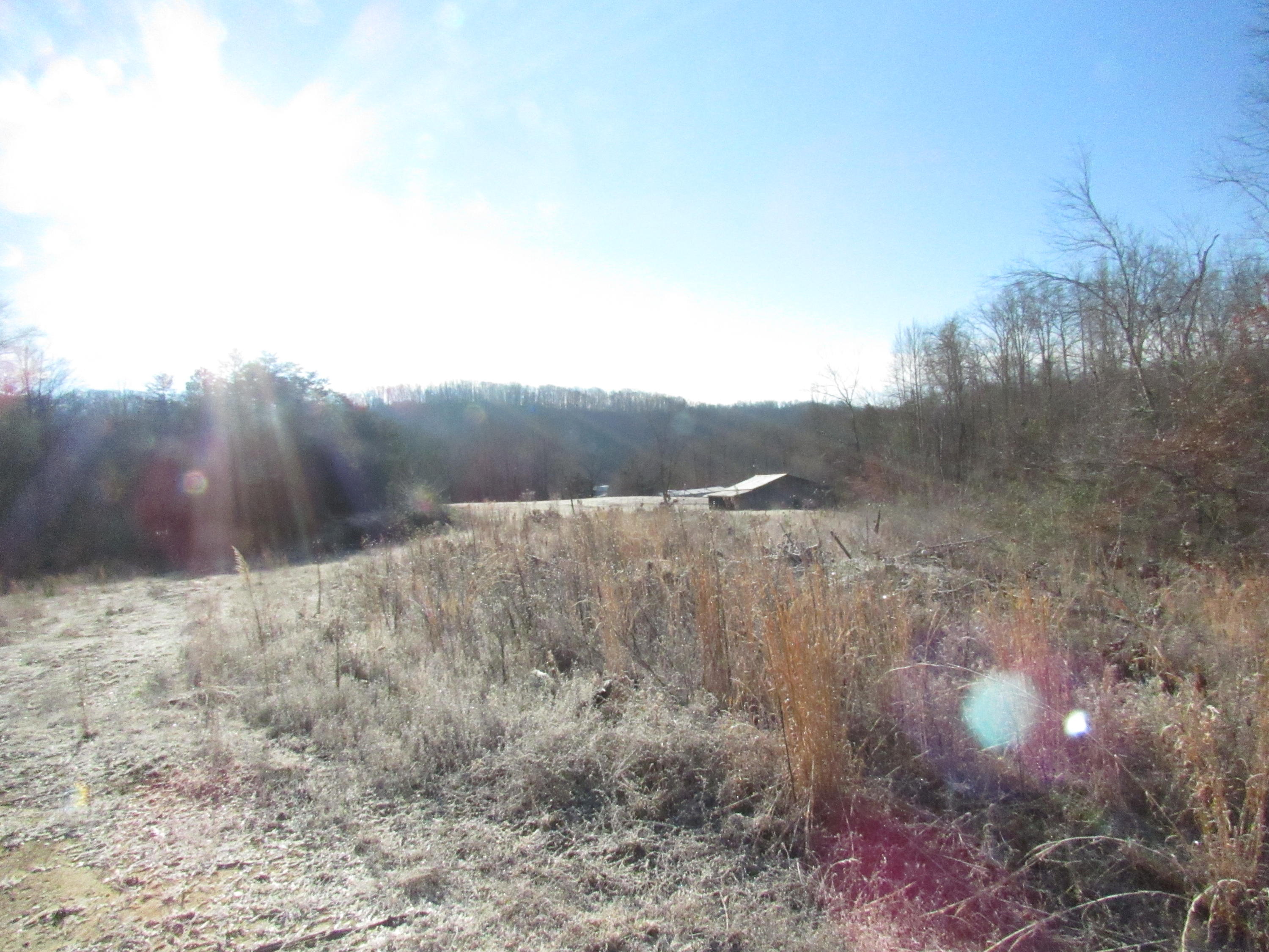 820 Sweetwater Road Philadelphia, TN 37846 - Photo 5 of 14 view from building site
