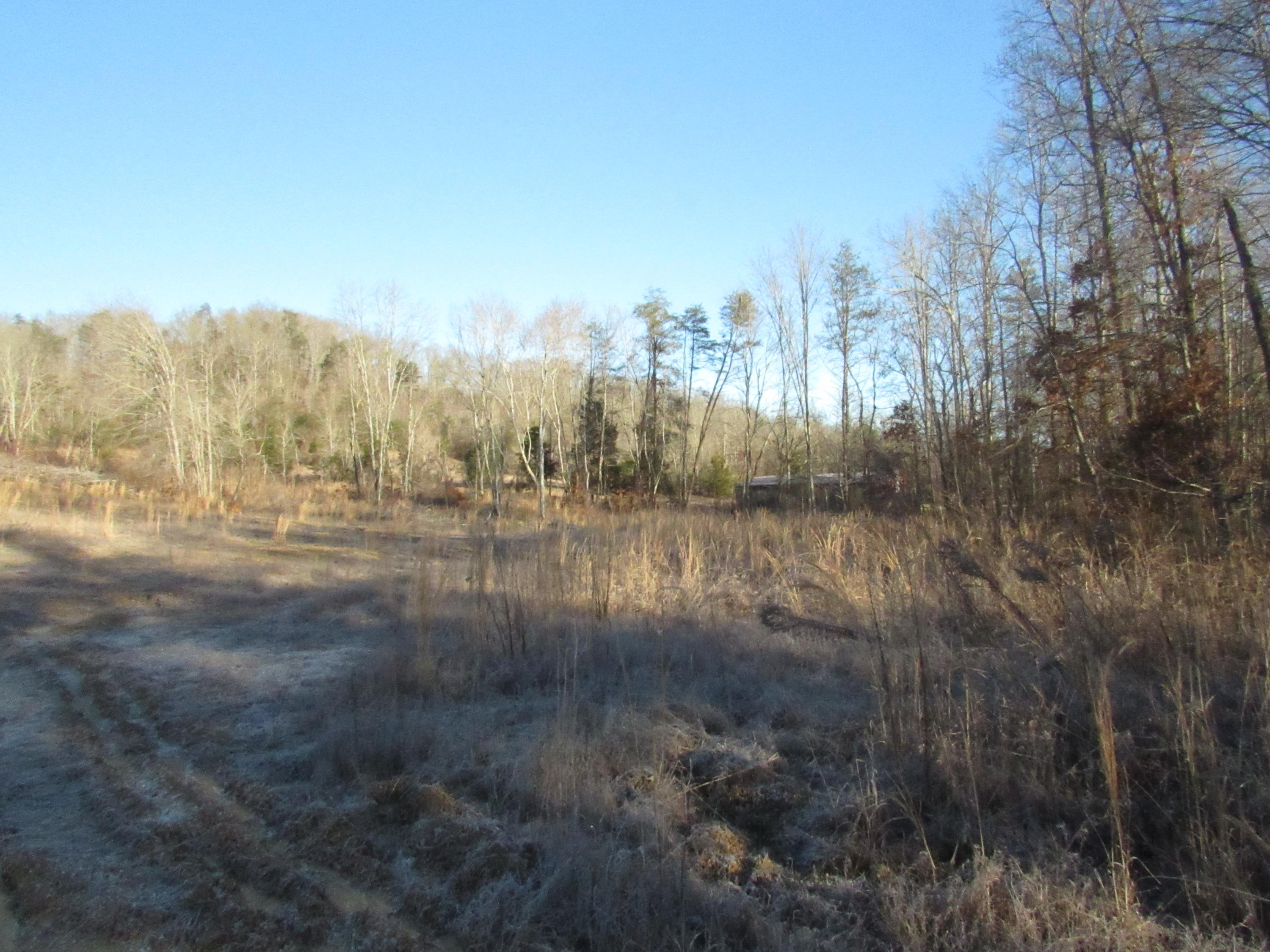 820 Sweetwater Road Philadelphia, TN 37846 - Photo 6 of 14 view west
