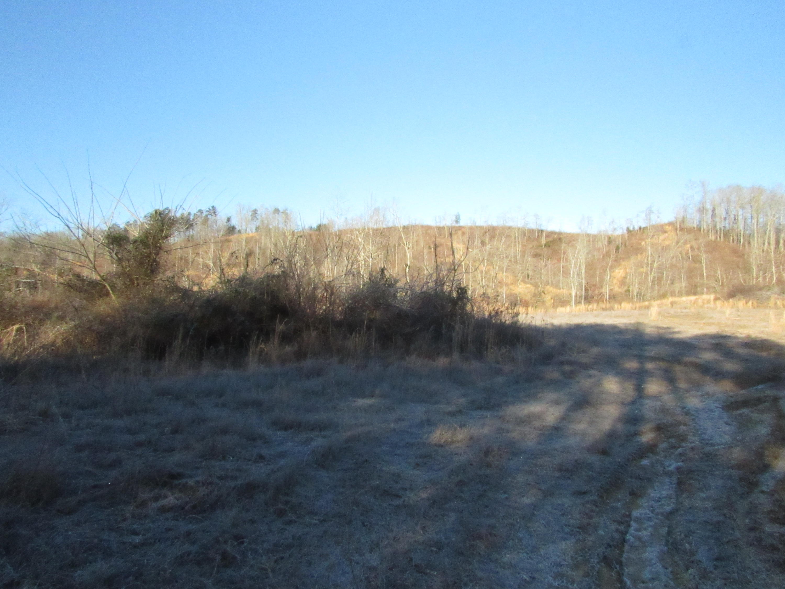 820 Sweetwater Road Philadelphia, TN 37846 - Photo 7 of 14 cleared area
