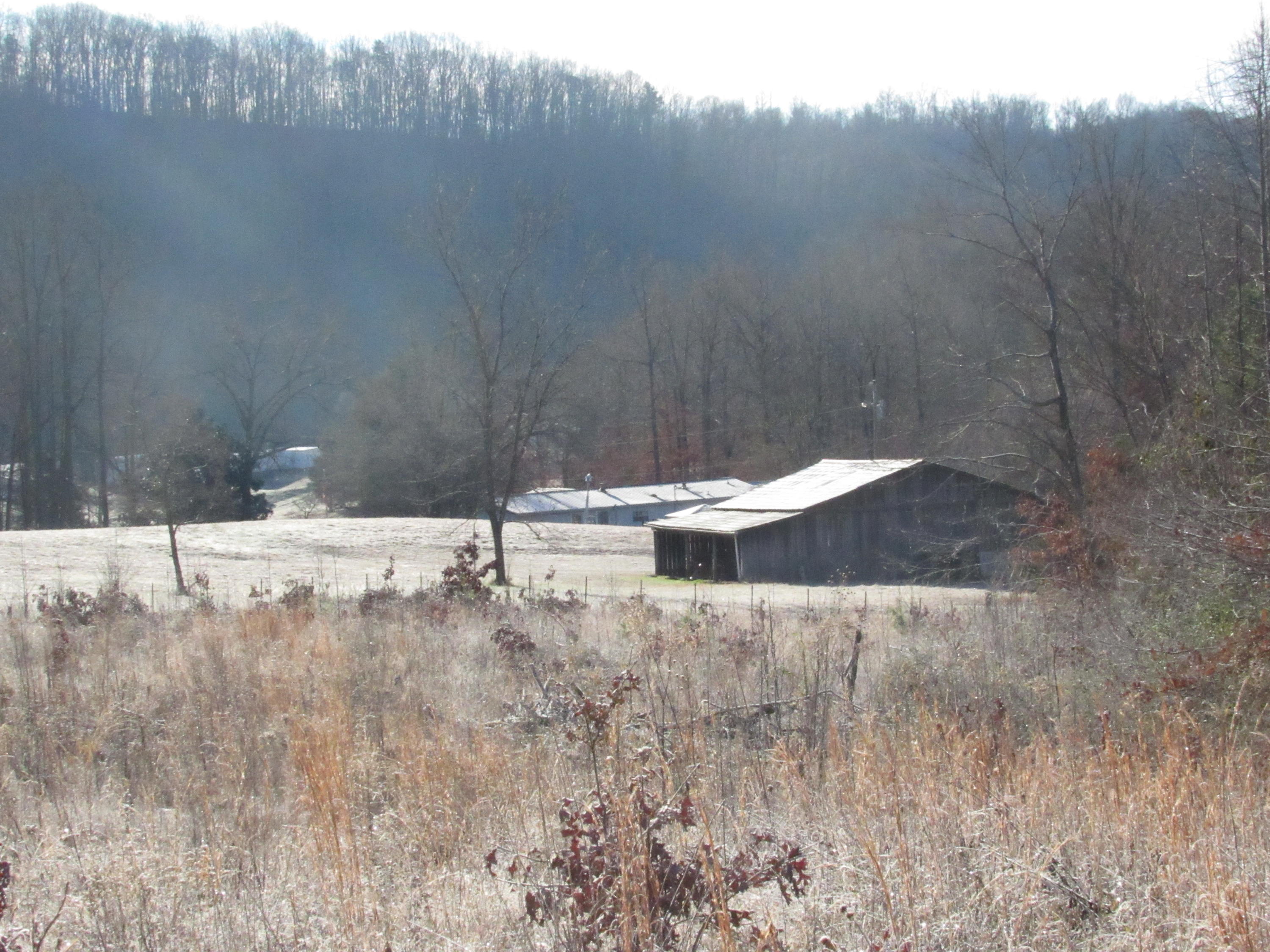 820 Sweetwater Road Philadelphia, TN 37846 - Photo 9 of 14 Joe lot 013