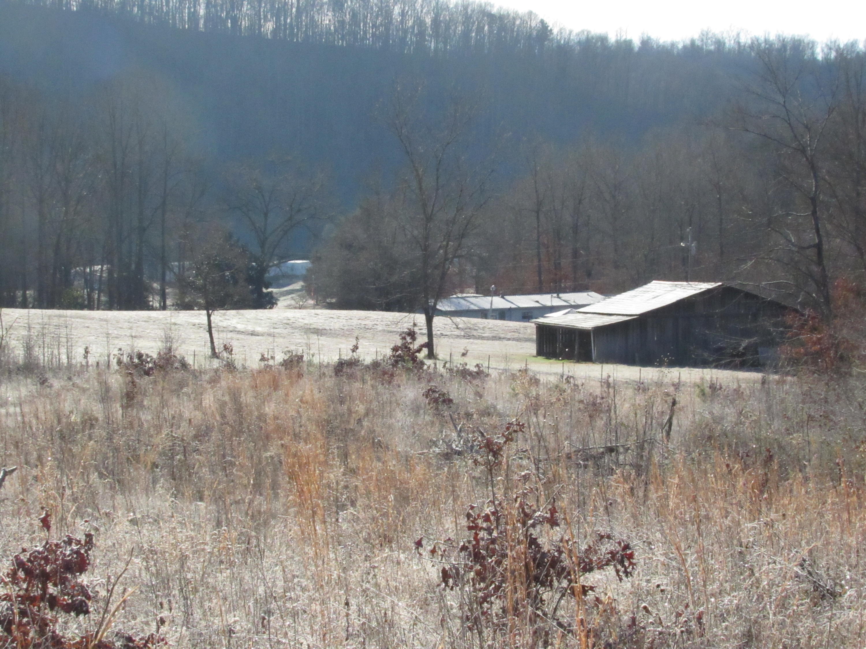 820 Sweetwater Road Philadelphia, TN 37846 - Photo 10 of 14 Joe lot 014