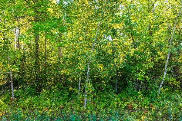 $552,000 | 31 163 73, Dunseith, ND 58329