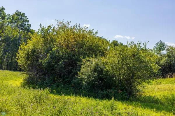 $552,000 | 31 163 73, Dunseith, ND 58329
