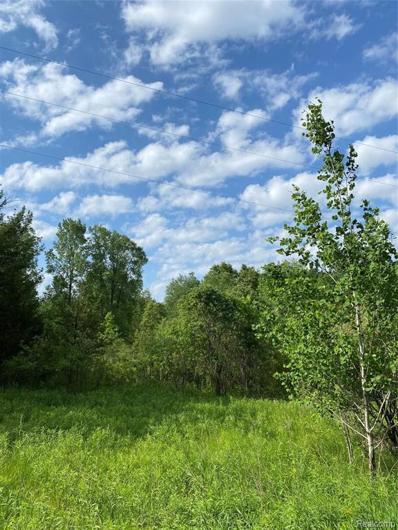 0 Kaiser Road Gregory, MI 48137 - Photo 26 of 29