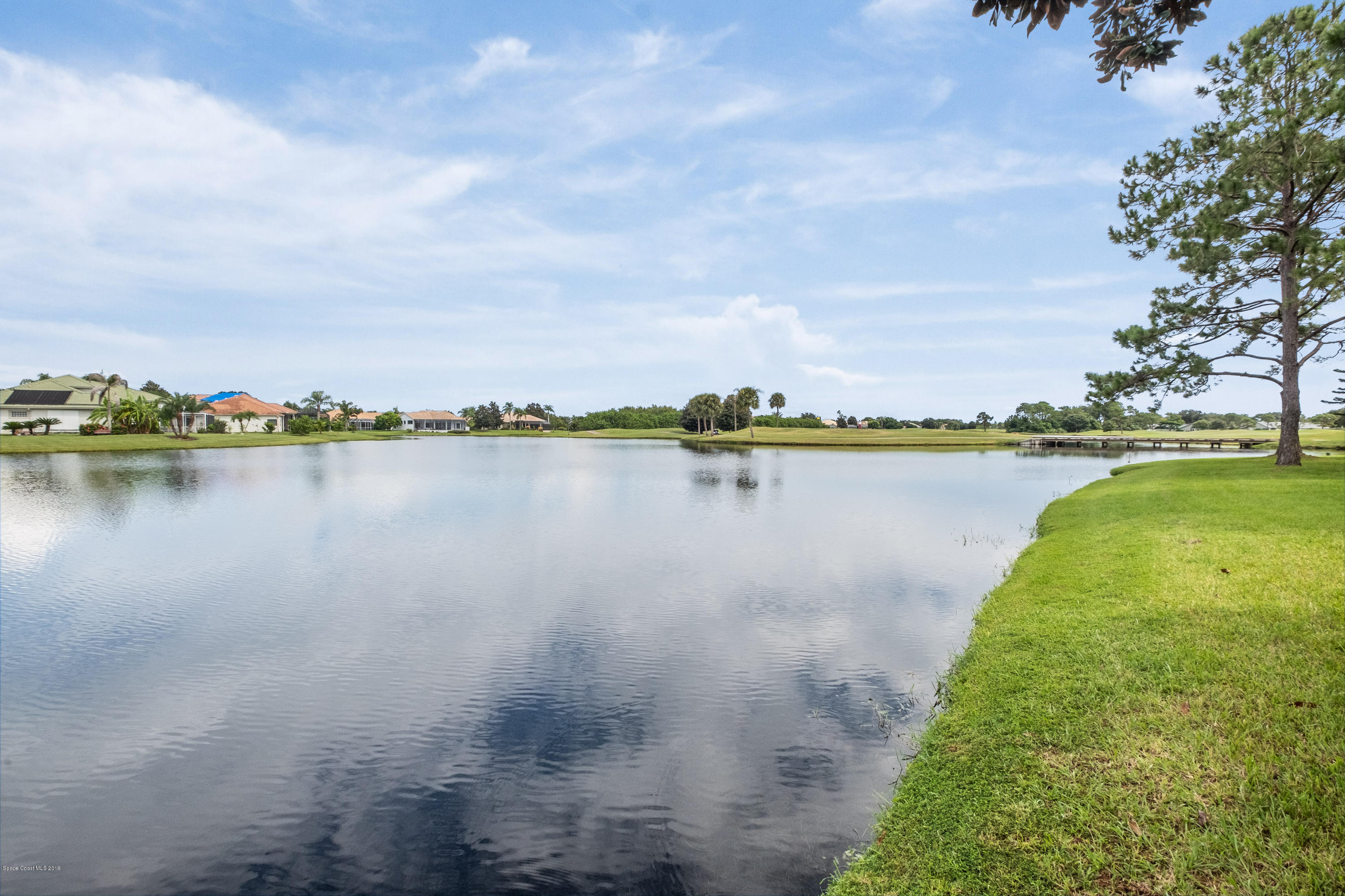Lake view