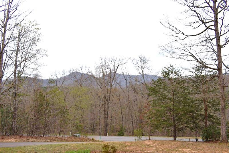 132 Hood Acres Road Young Harris, GA 30582 - Photo 29 of 31