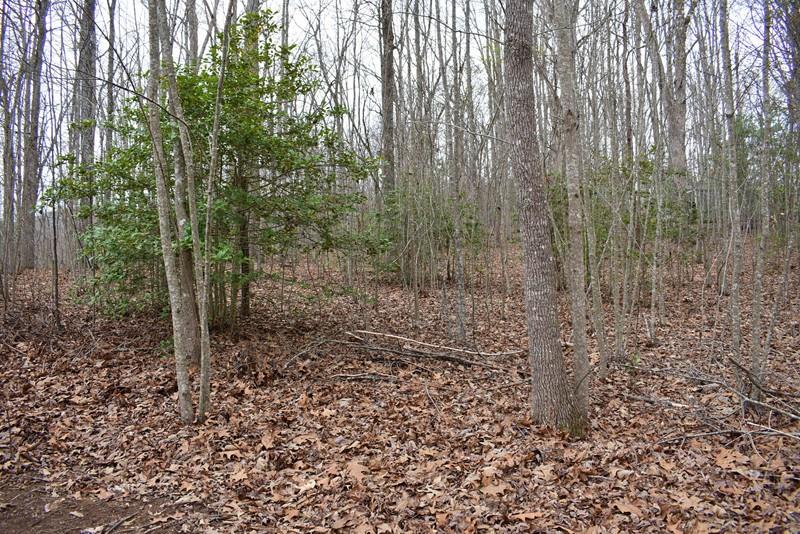 132 Hood Acres Road Young Harris, GA 30582 - Photo 31 of 31