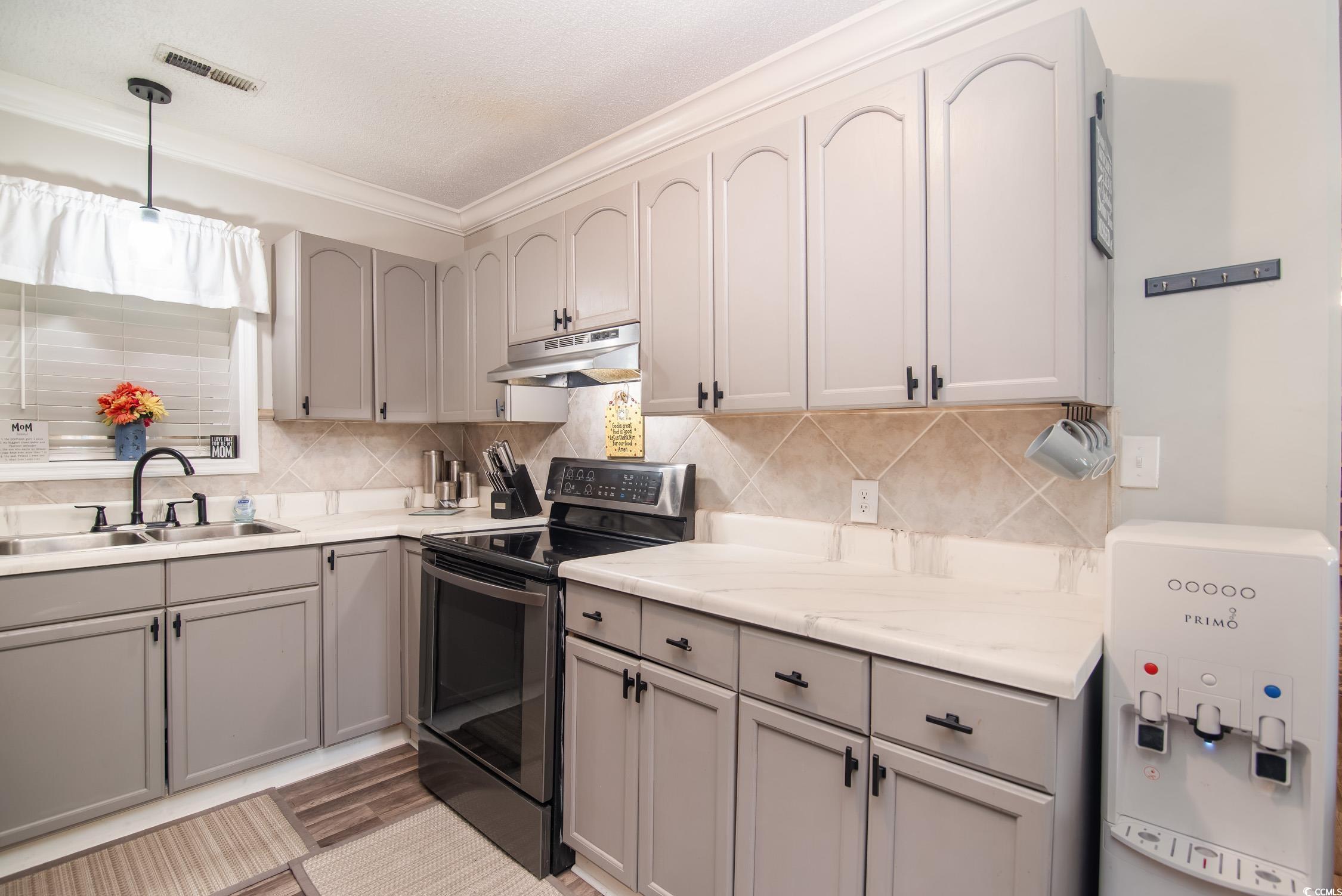 2510 Redwood Street Georgetown, SC 29440 - Photo 10 of 27 Kitchen featuring stainless steel dishwasher, dark wood-type flooring, gray cabinets, a textured ceiling, and a sink