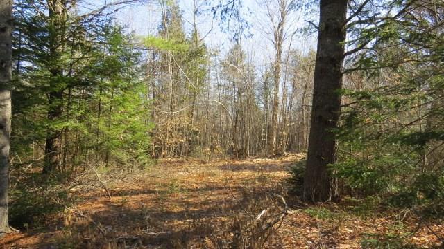 Lot 52-6 Mariaville Road Ellsworth, ME 04605 - Photo 16 of 19 Photo
