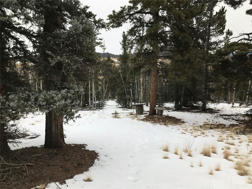191 Smith And Wesson Road Como, CO 80432 - Photo 5 of 7 Gallery Image 5