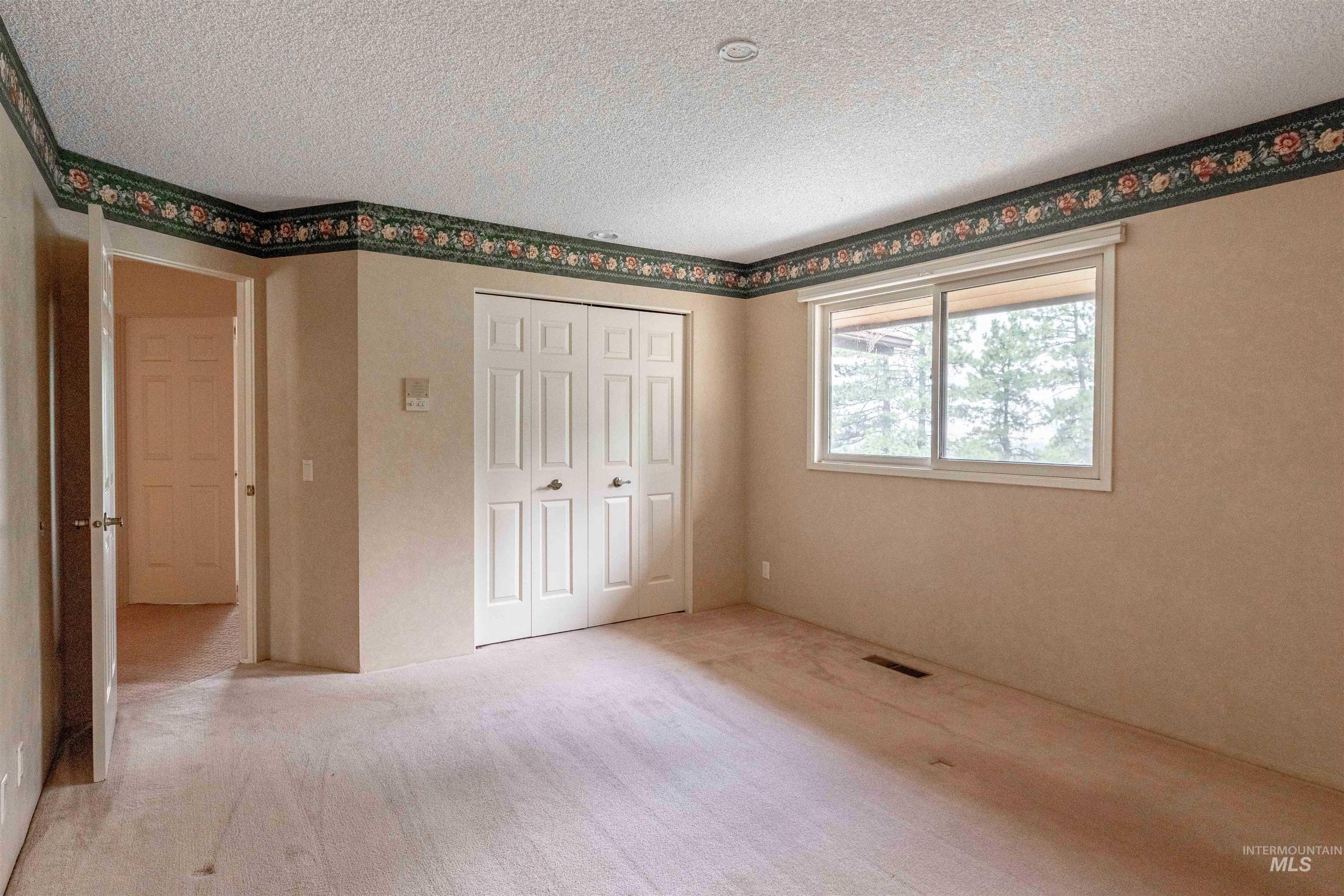 1050 Paradise Ridge Road Moscow, ID 83843 - Photo 17 of 49 Unfurnished bedroom featuring a closet, light carpet, and a textured ceiling