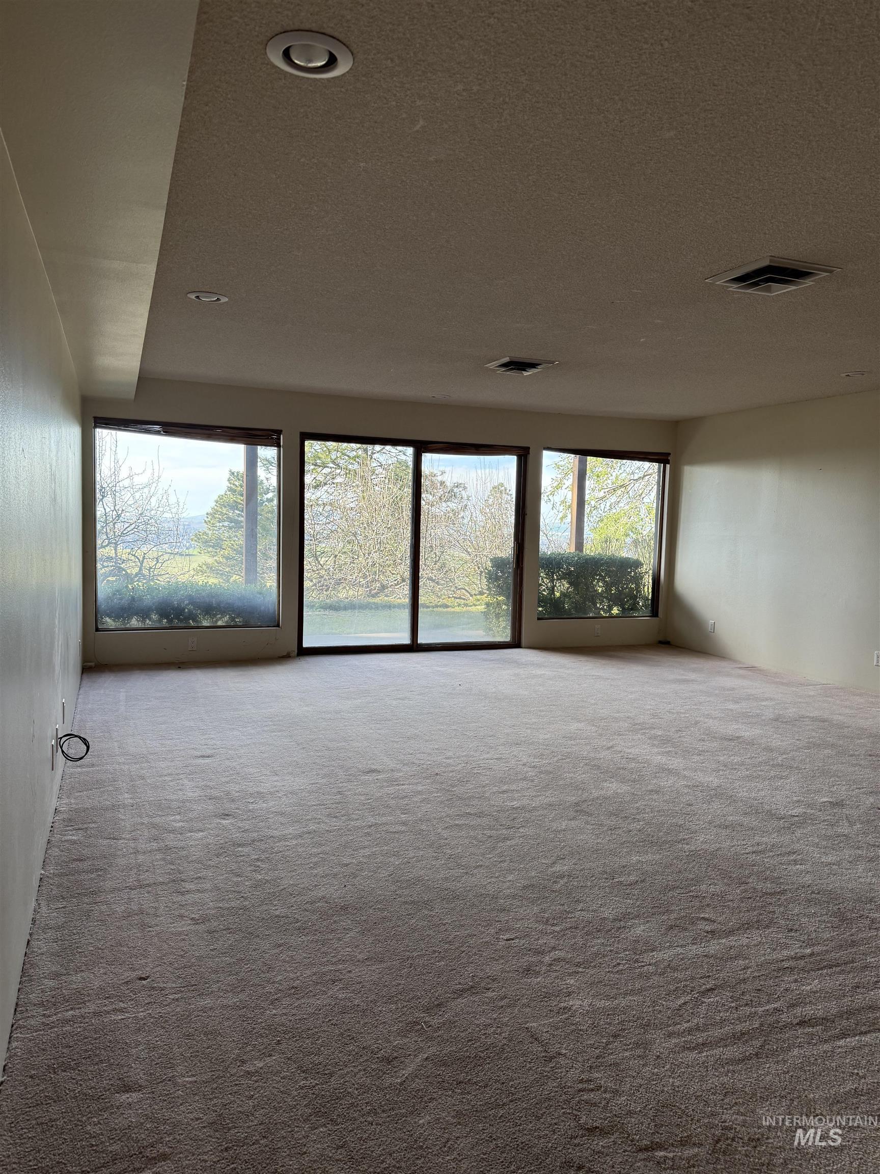 1050 Paradise Ridge Road Moscow, ID 83843 - Photo 31 of 49 Carpeted empty room featuring a textured ceiling and recessed lighting
