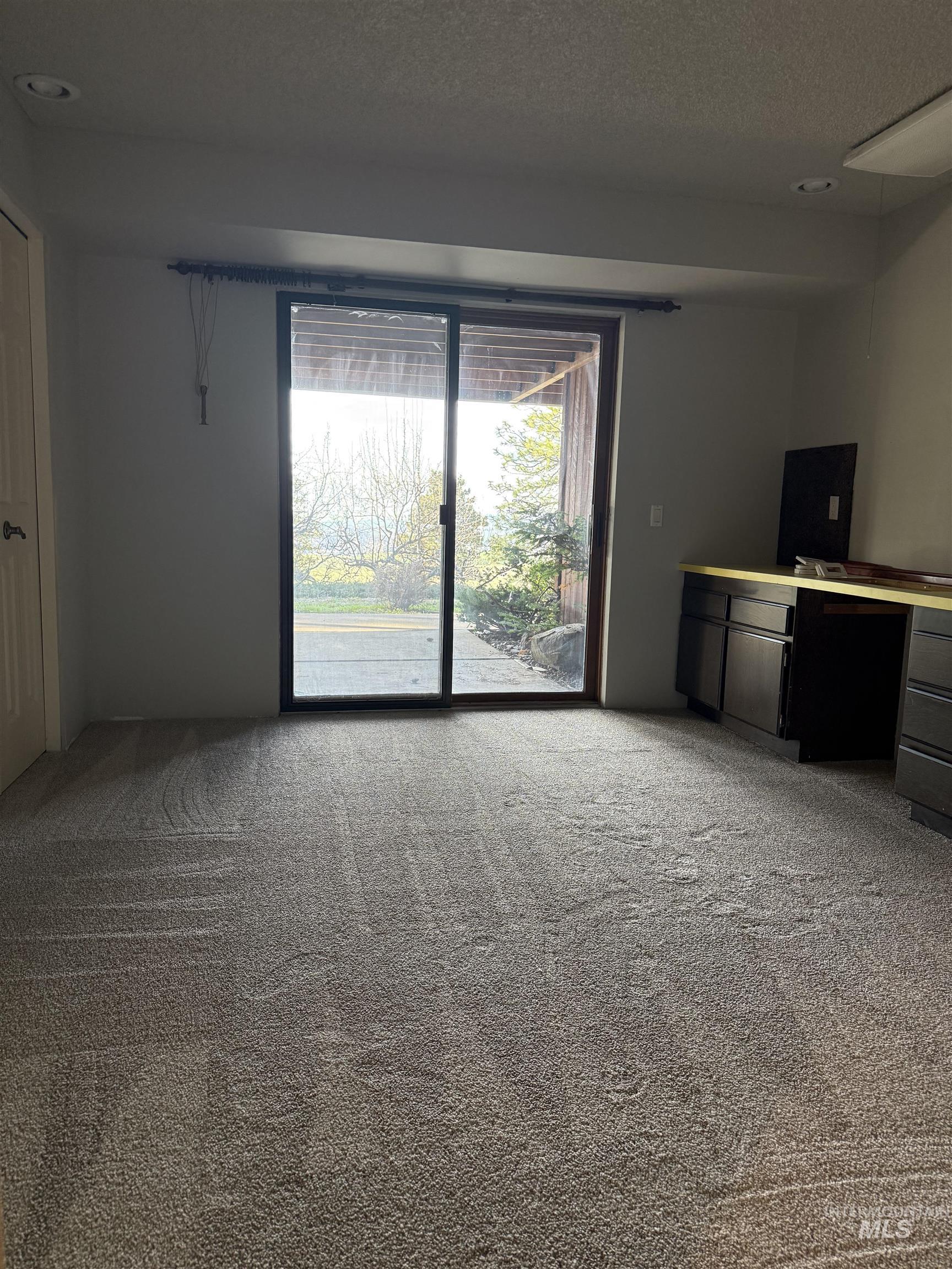 1050 Paradise Ridge Road Moscow, ID 83843 - Photo 33 of 49 Unfurnished living room with light carpet, a textured ceiling, recessed lighting, and a desk