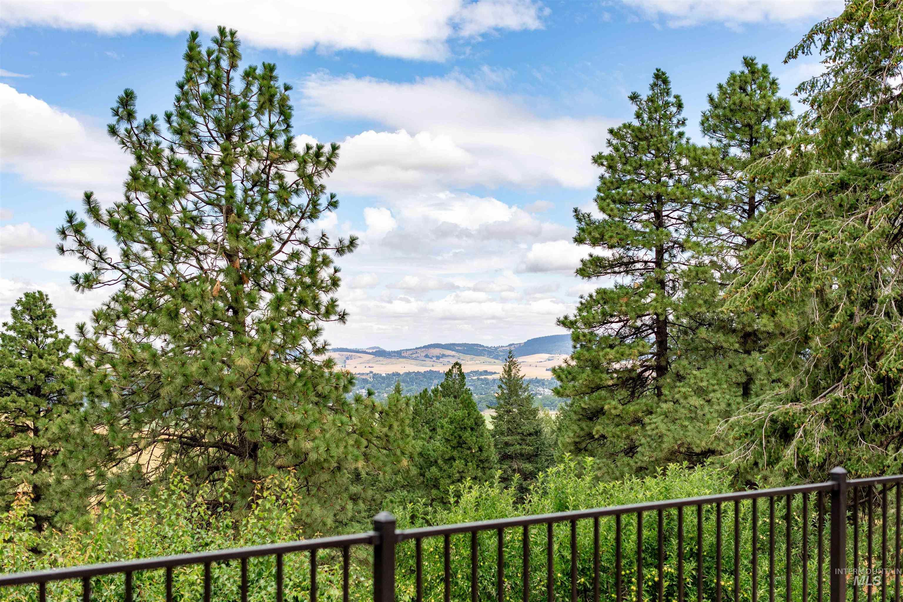 1050 Paradise Ridge Road Moscow, ID 83843 - Photo 4 of 49 View of mountain background