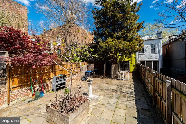 a view of a yard with plants and trees