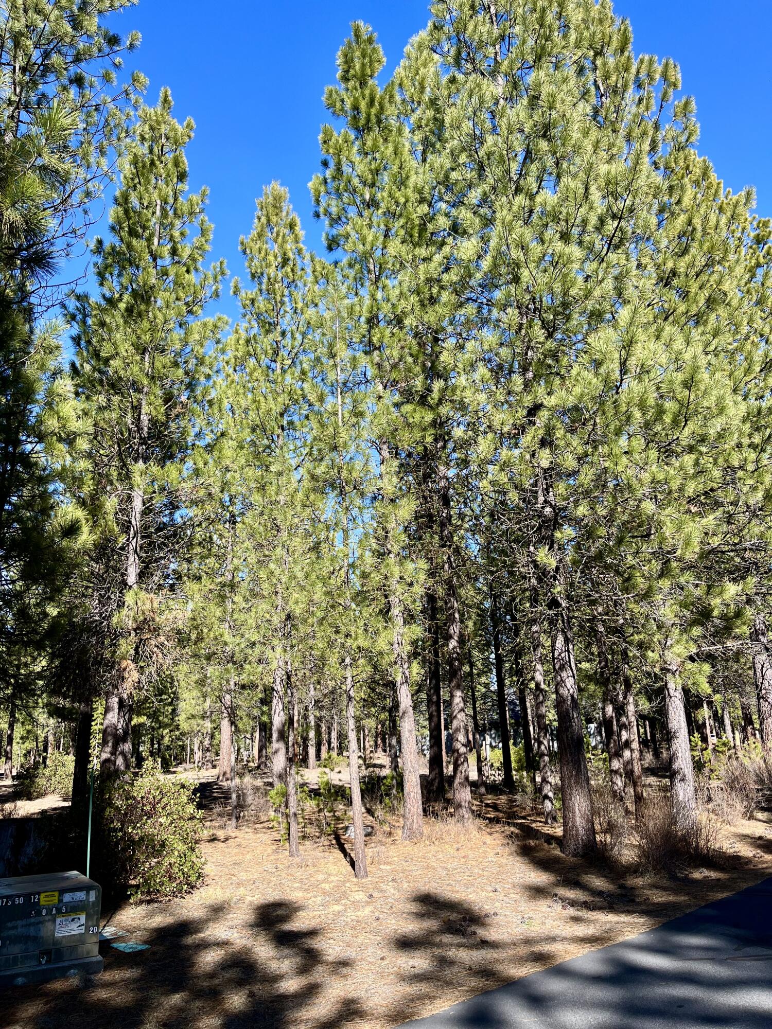 14171 Whitewater Loop La Pine, OR 97739 - Photo 2 of 16 14171-8