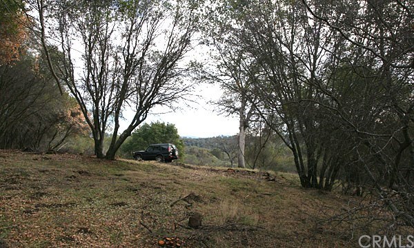 3632 Silver Bar Road Mariposa, CA 95338 - Photo 1 of 1 Gallery Image 1