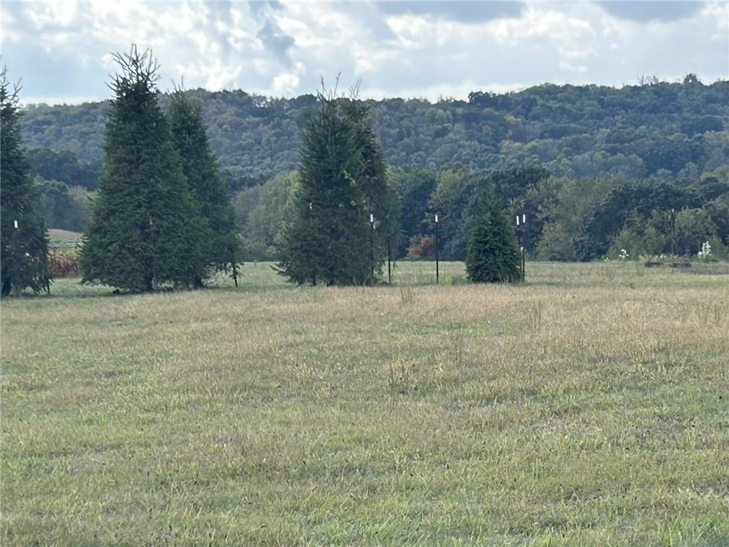 224 Morrow Road Beaver Falls, PA 15010 - Photo 11 of 18 a view of a yard with mountain view