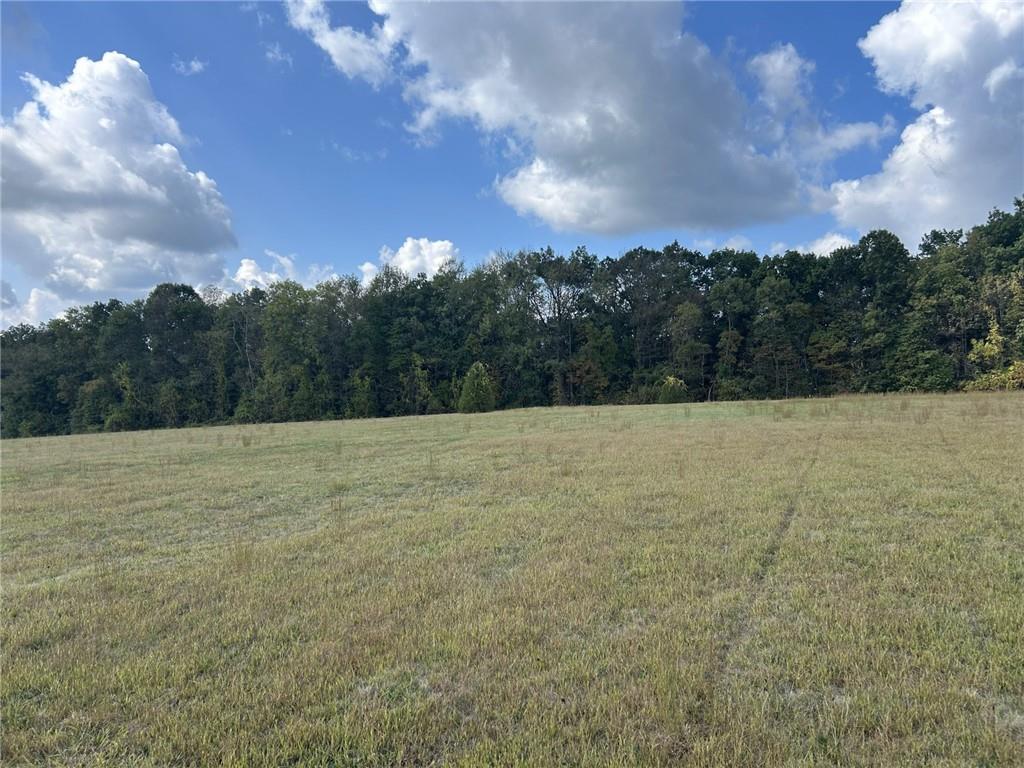 224 Morrow Road Beaver Falls, PA 15010 - Photo 12 of 18 a view of a dry yard