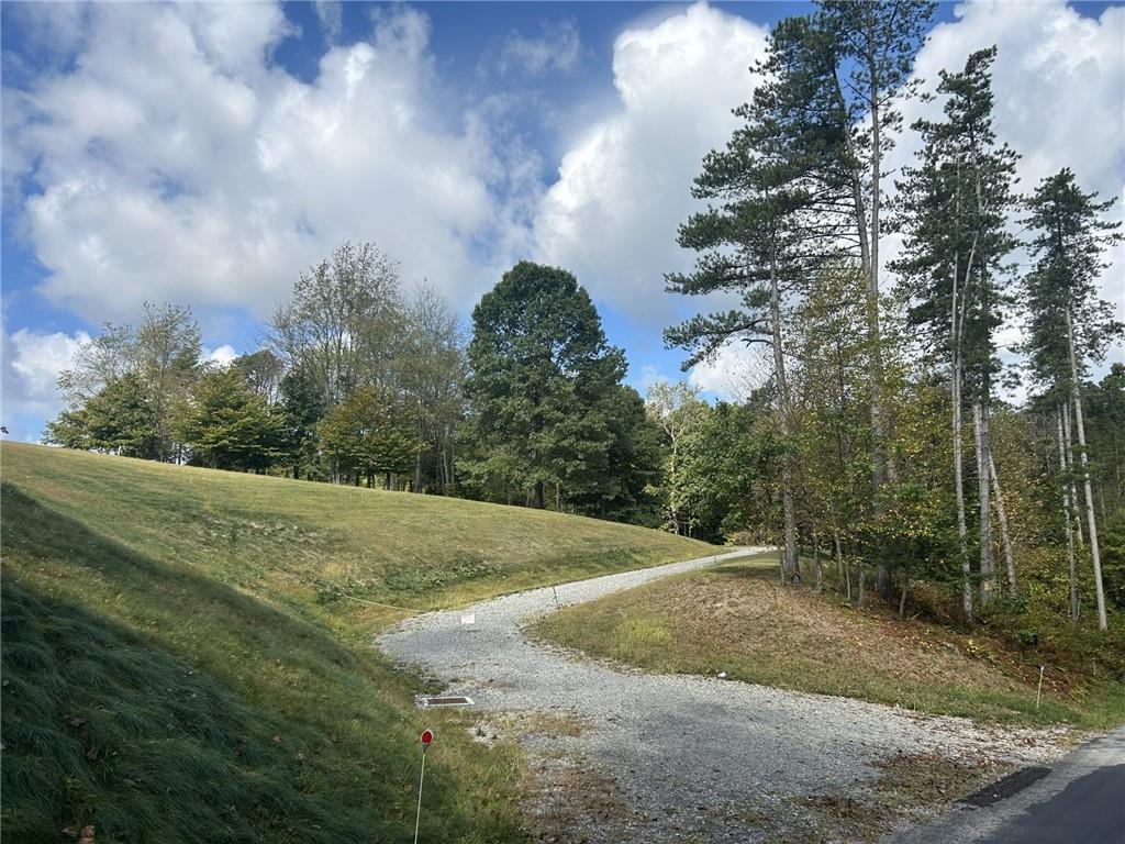 224 Morrow Road Beaver Falls, PA 15010 - Photo 3 of 18 a view of a yard with large trees