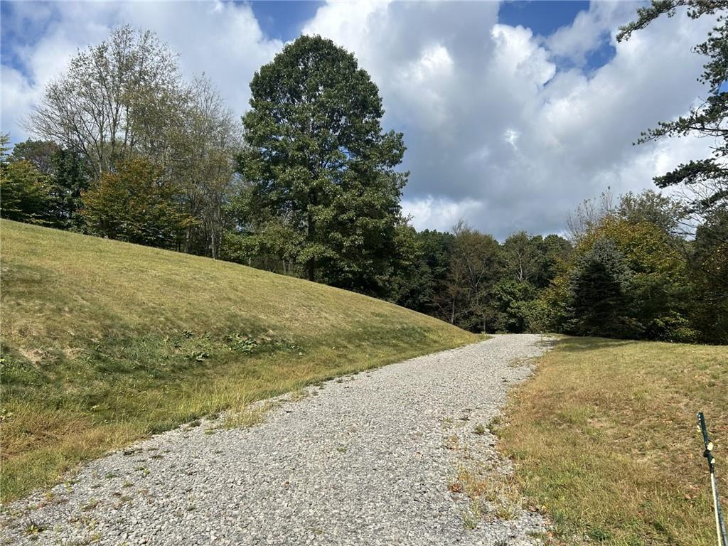 224 Morrow Road Beaver Falls, PA 15010 - Photo 4 of 18 a view of a dry yard with trees