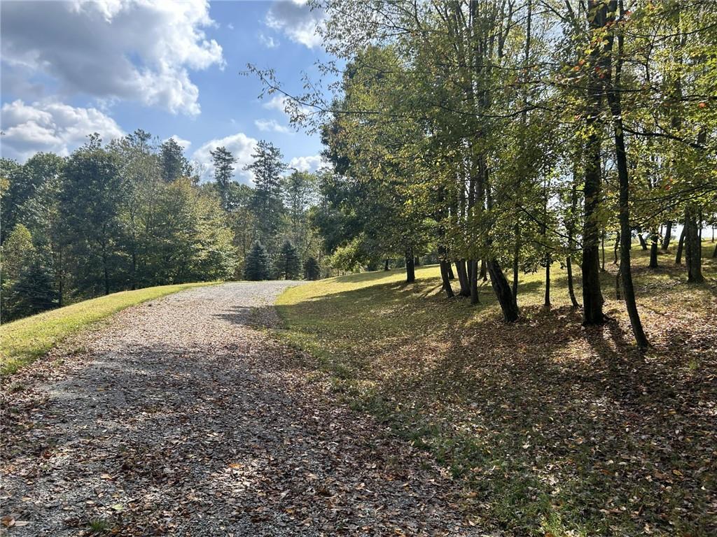 224 Morrow Road Beaver Falls, PA 15010 - Photo 6 of 18 a view of outdoor space with trees