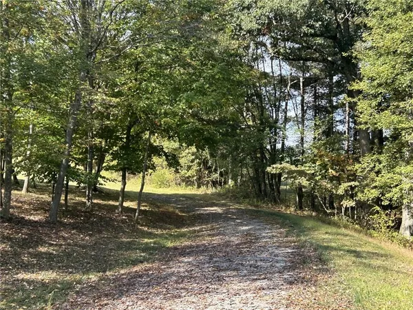 a view of yard with trees