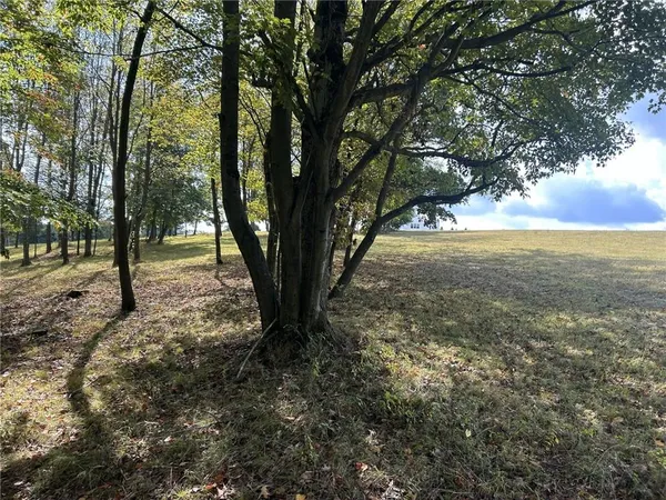 a view of outdoor space with trees