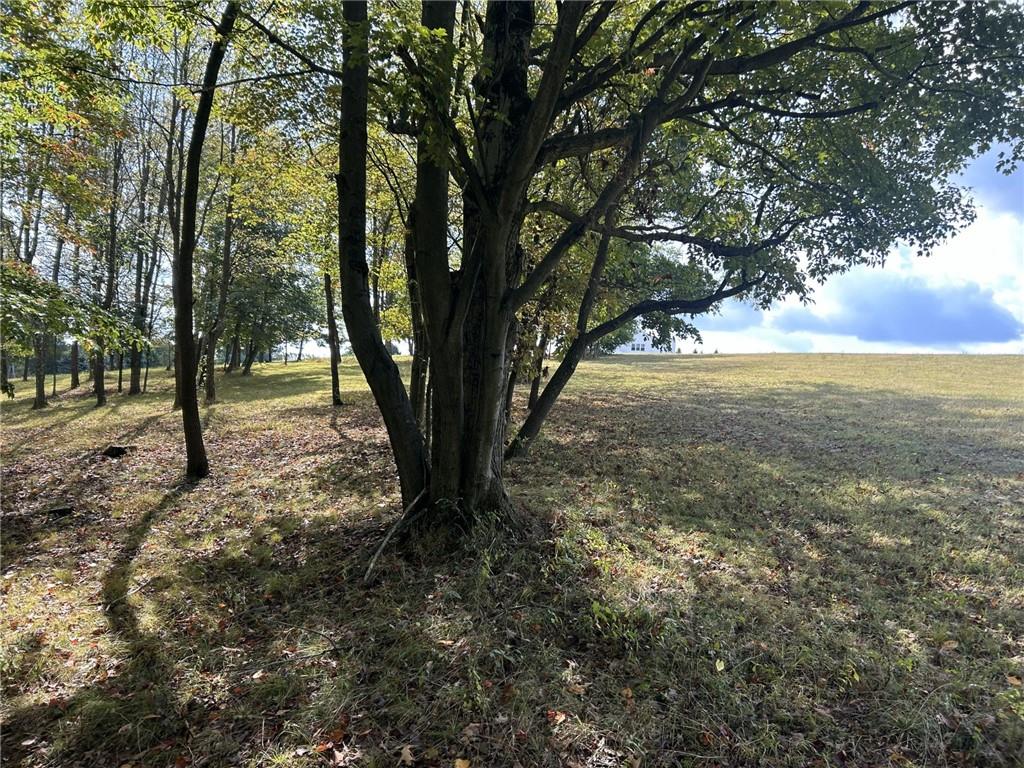 224 Morrow Road Beaver Falls, PA 15010 - Photo 9 of 18 a view of yard with trees