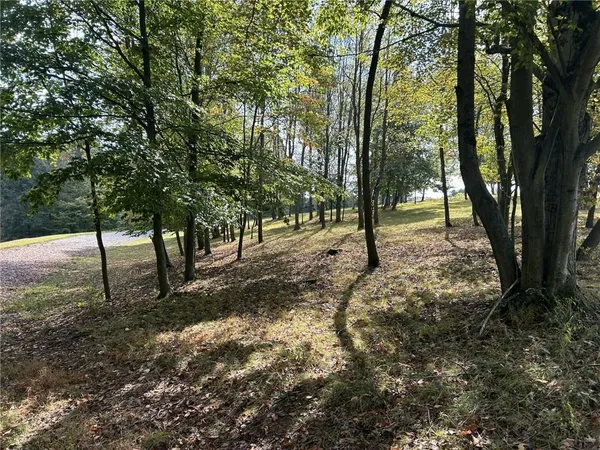 a view of a yard with mountain view