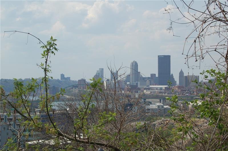 3513 Wakefield Street Pittsburgh, PA 15213 - Photo 2 of 6 a view of a city
