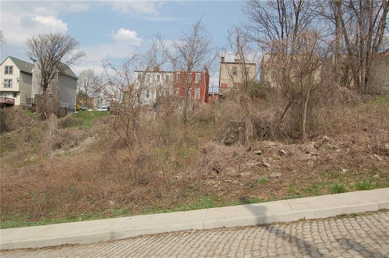 3513 Wakefield Street Pittsburgh, PA 15213 - Photo 4 of 6 a view of a yard
