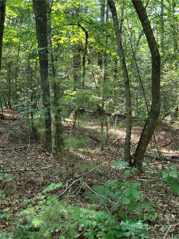2525 Piedmont Road Morganton, NC 28655 - Photo 4 of 10 Gallery Image 4