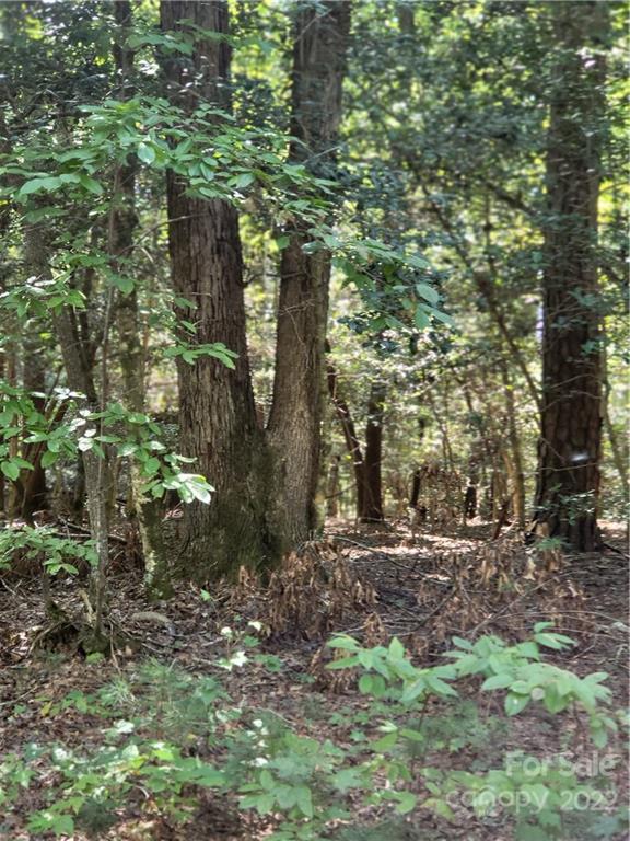 2525 Piedmont Road Morganton, NC 28655 - Photo 5 of 10 Gallery Image 5
