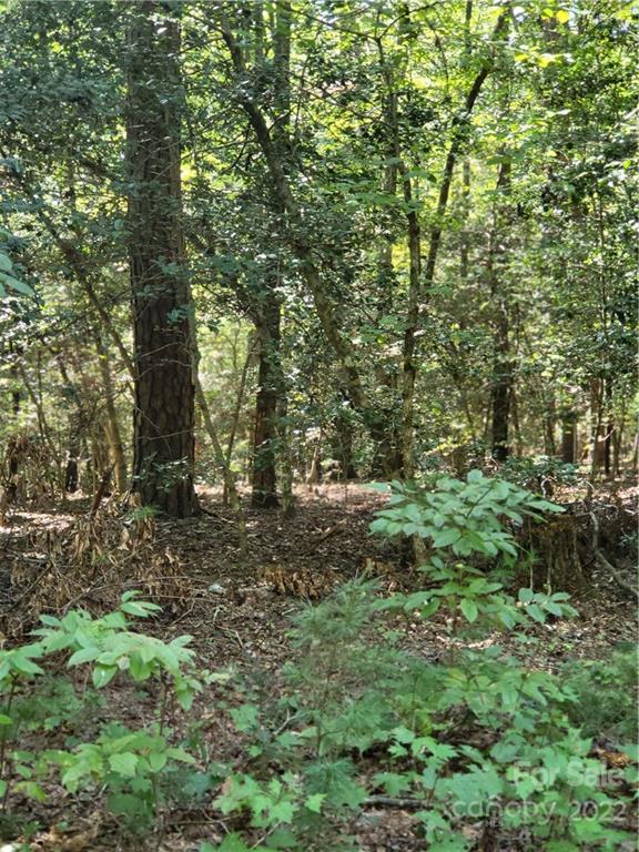 2525 Piedmont Road Morganton, NC 28655 - Photo 6 of 10 Gallery Image 6