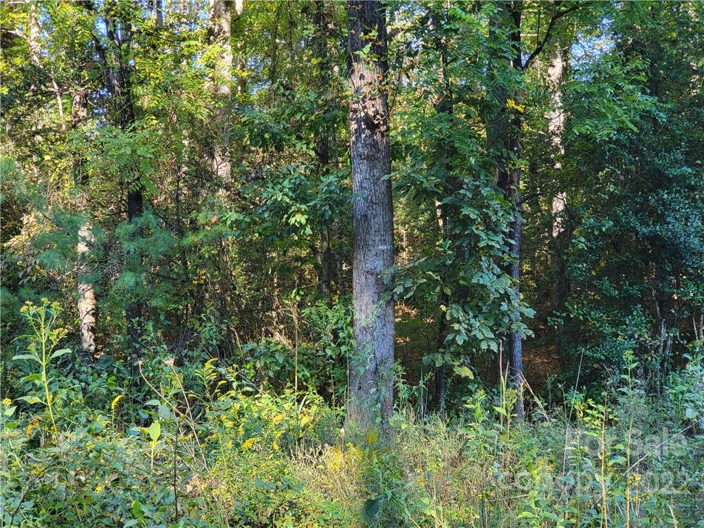 2525 Piedmont Road Morganton, NC 28655 - Photo 10 of 10 Gallery Image 10