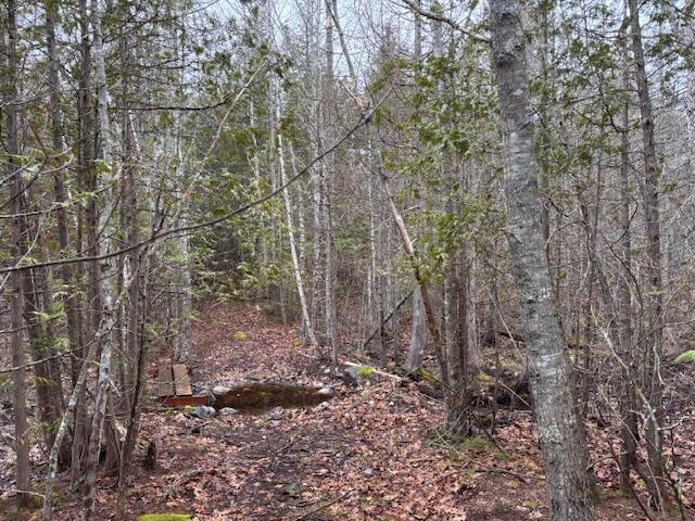 1008 West Bay Road Gouldsboro, ME 04607 - Photo 33 of 41
